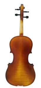 violino2 jpg